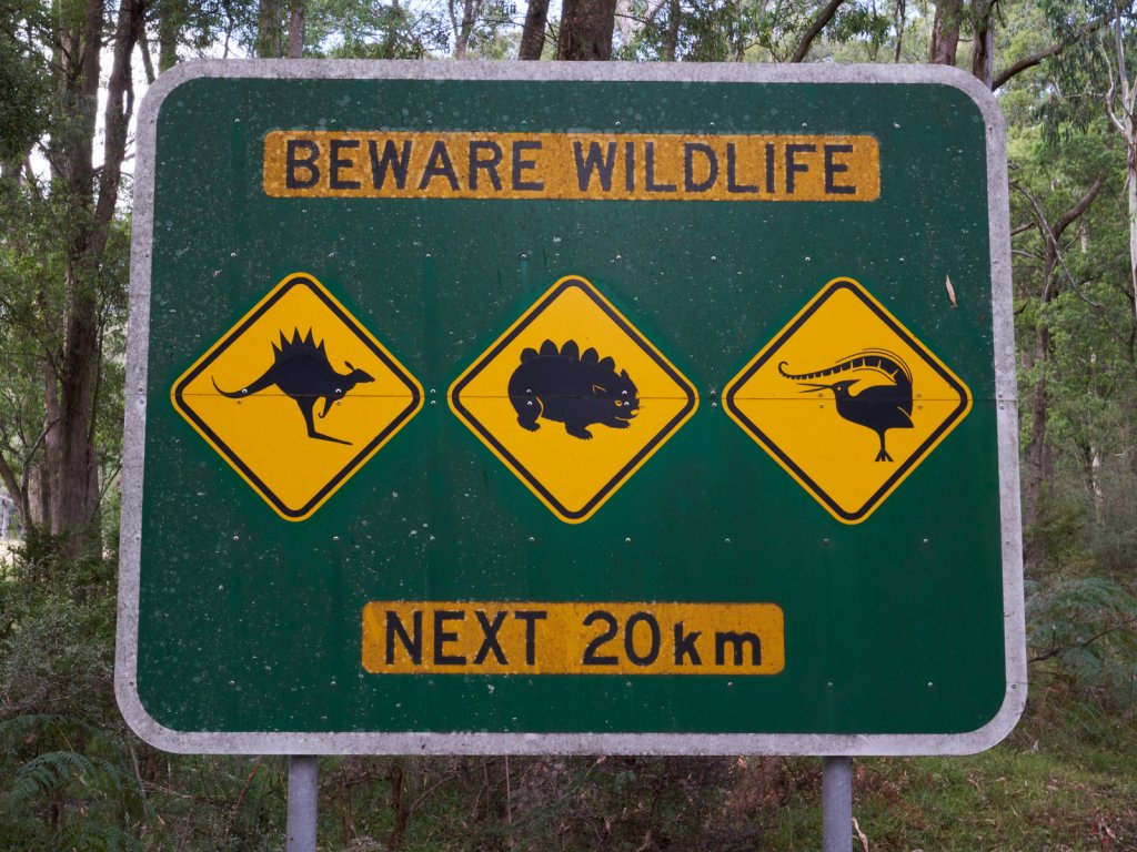 Mount Buffalo NP